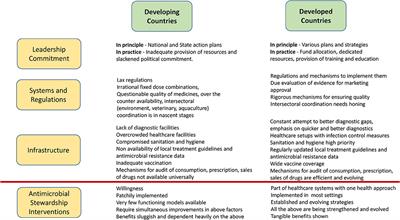 Antimicrobial Stewardship Programs in Resource Constrained Environments: Understanding and Addressing the Need of the Systems